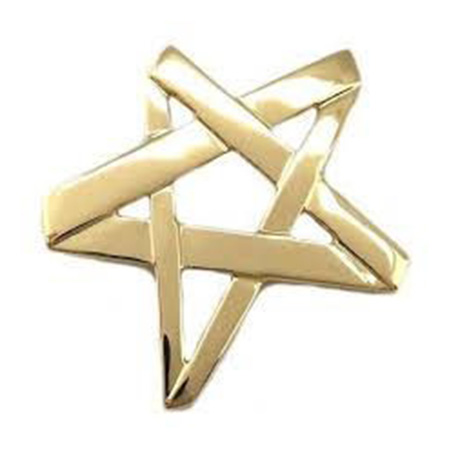 Tiffany & Co. Paloma Picasso 18k Yellow Gold Large Star Brooch and Pendant
